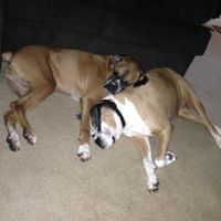 Latasha Walker Buckner