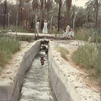 محمد الحايك