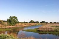 Suzanne Shaffer Begley