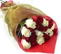 Hamza Abdo