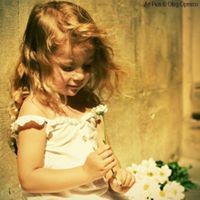 راية الحلبي