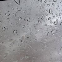 نواف السبيعي