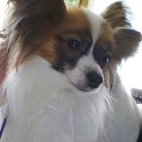 Virginia E. Burchardt