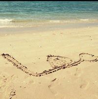 نسمة الوادي