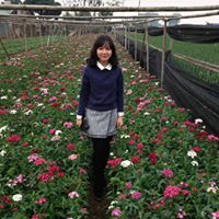 Nguyễn Phương Oanh