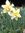 Shary | 14 comments