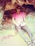 Arpan P...