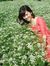 Hanh My