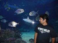 Deepak Dalakoti