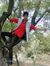 Pawan P...