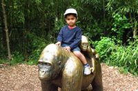 Rajarajeswari Karthi