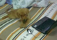 Anugerah Abraham