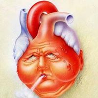 Mostafa Abd El Fattah