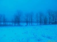 Николай Недавахин