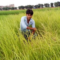 সুবোধ বালক