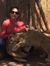 Karen G...