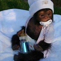 Тамара Маан