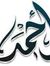 Ahmed S...