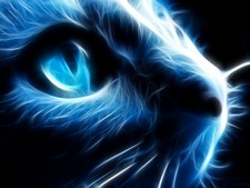 Jonathan Oberländer