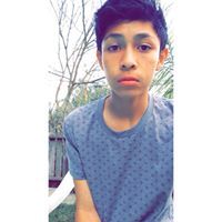 Andy Arreguin