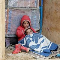 الليبى الليبى