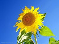 يلا نغيرمصر