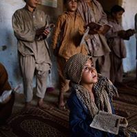 عمار النجارى