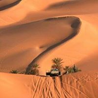 سالم الصيعري