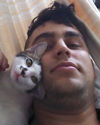Rui Alexandre