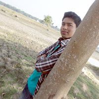 শুভ্র পল্লব