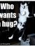 Shy Joh...