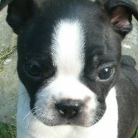 Cyndi Stanton