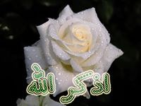 صفحات مطوية