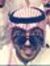 عبدالعز...