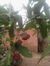 Trung H...