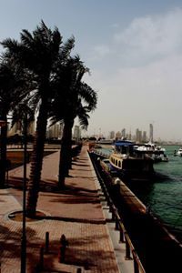 زايد الشمري