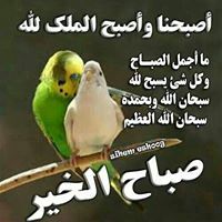 عبدالله محجوب احمد