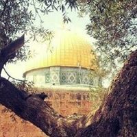 رجاء ابو خميس