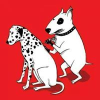 Nithat Angsirisopanon