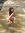 Swarcha...
