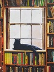 Goodreads profile picture for @soul