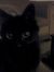 Cassy P...