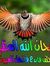Ahmed O...