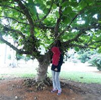 Amanina Husna