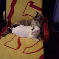 Wilma Bagby