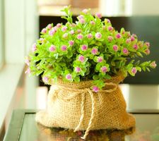 إبتهال محمد رأفت