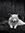 Haley | 1067 comments