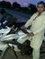 Nazrul ...