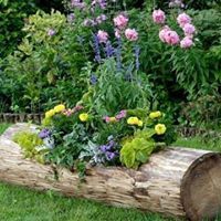 Paulette Cunningham Kite