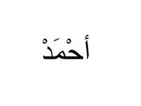 Ahmed EL Saedy